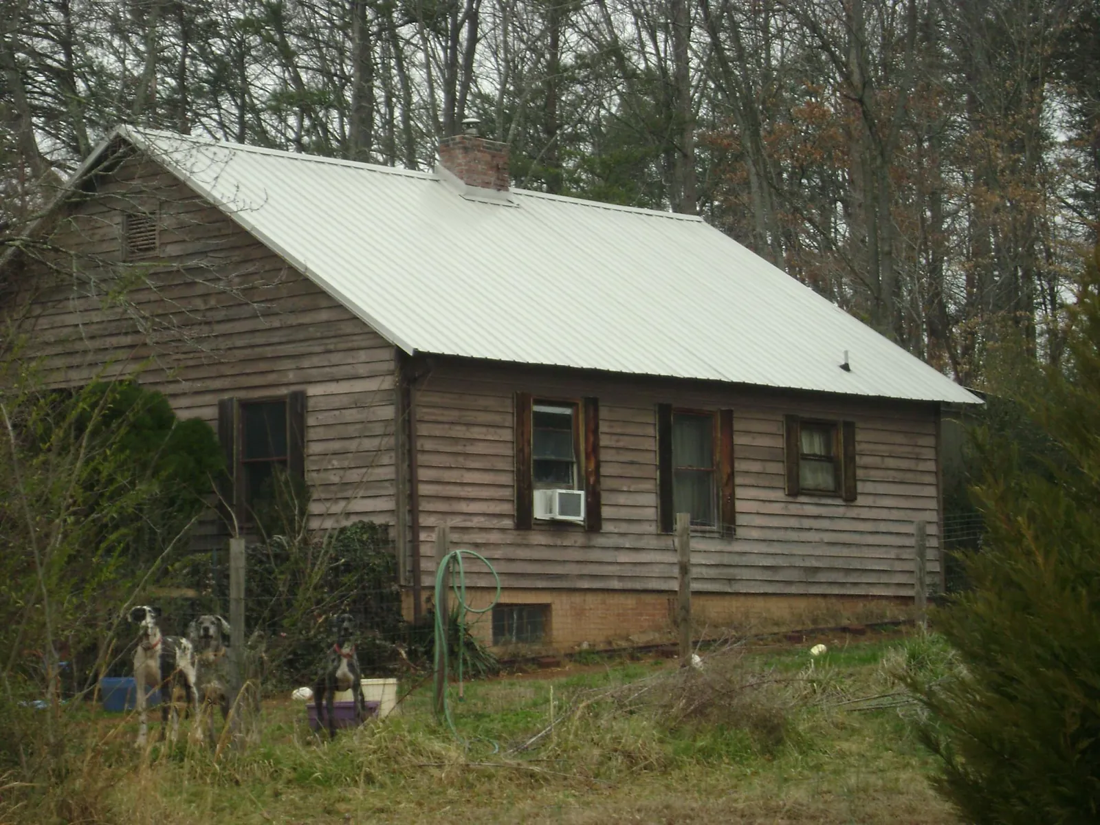 White metal roof on an old wood sided farmhouse, from a Metal Roof Installation job in Shelley